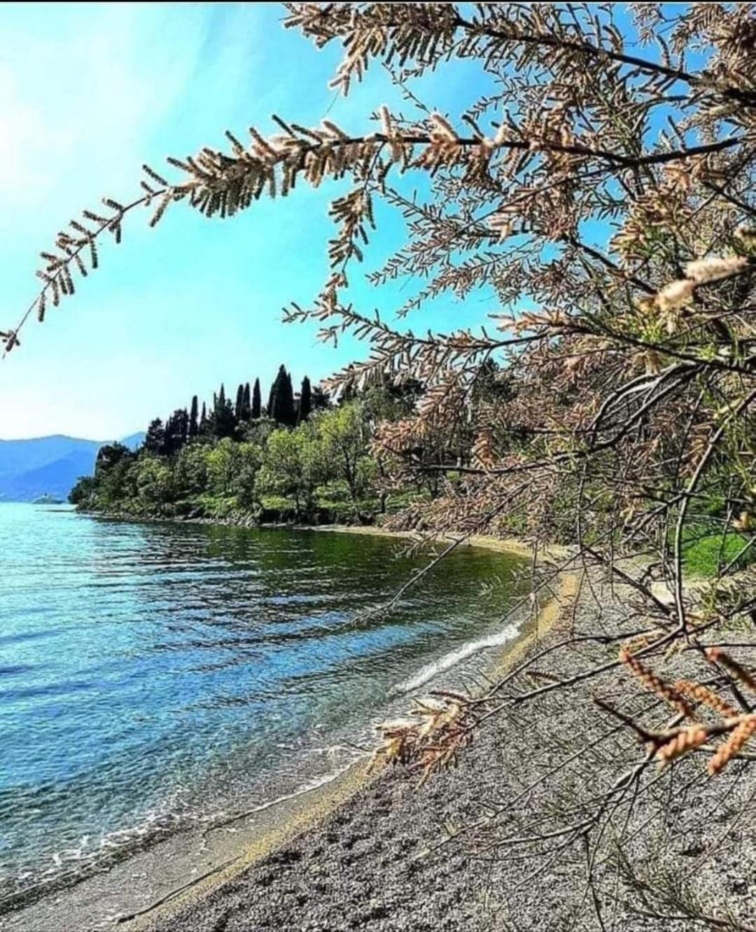 Apartmani Bekonja Tivat Exteriér fotografie